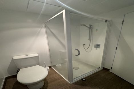 Photo of property in Soho Apartments, 509/74 Taranaki Street, Te Aro, Wellington, 6011