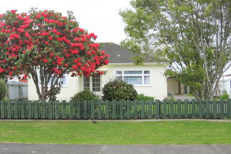 Photo of property in 21 Dudley Street, Levin, 5510