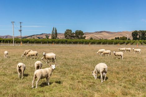 Photo of property in 445 Dillons Point Road, Dillons Point, Blenheim, 7273