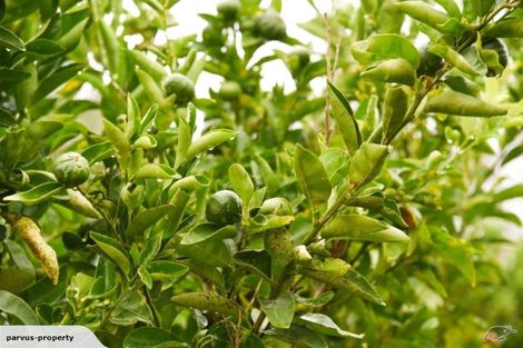 Photo of property in 40 Edkins Road, Kerikeri, 0230