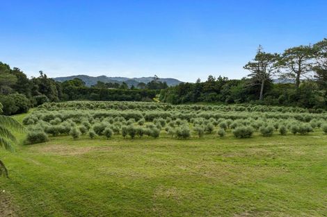 Photo of property in 40 Killen Road, Tahawai, Katikati, 3178