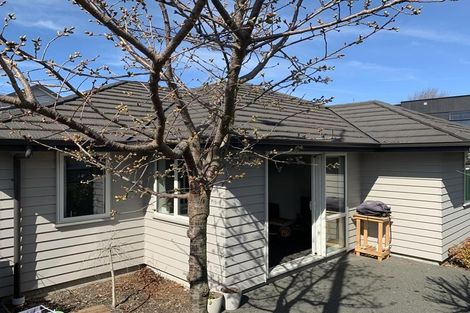 Photo of property in 350 Madras Street, Christchurch Central, Christchurch, 8013