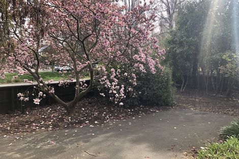 Photo of property in 90 Palatine Terrace, Saint Martins, Christchurch, 8022