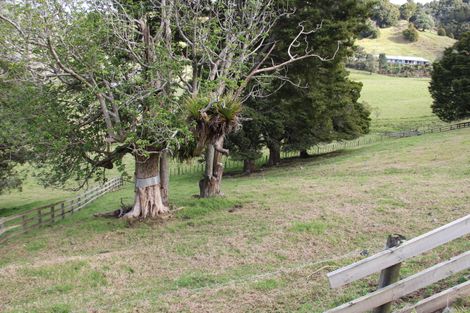 Photo of property in 262a Whau Valley Road, Whau Valley, Whangarei, 0112