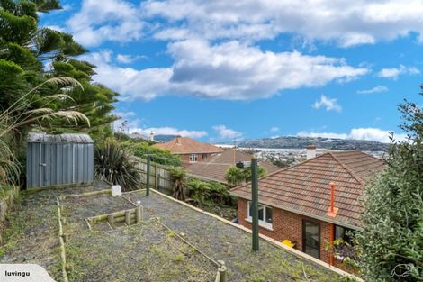 Photo of property in 65 Forfar Street, Clyde Hill, Dunedin, 9011