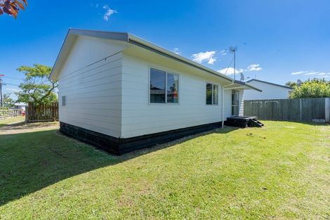 Photo of property in 115 Sherwill Street, Feilding, 4702