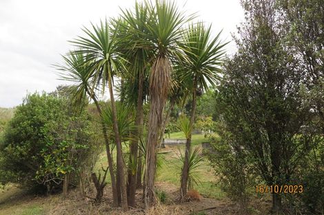 Photo of property in 1/6 Roberts Road, Matakatia, Whangaparaoa, 0930