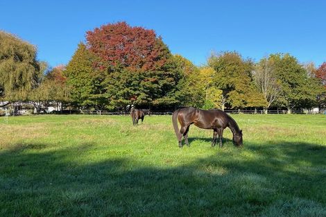 Photo of property in 46g Johnson Road, Otakiri, Whakatane, 3192