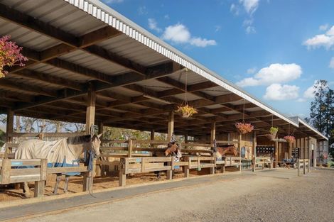 Photo of property in 124 Rimmer Road, Helensville, 0875