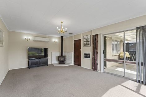 Photo of property in 35 Leefield Street, Blenheim, 7201