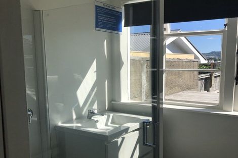 Photo of property in 5 Glendavar Street, Berhampore, Wellington, 6023