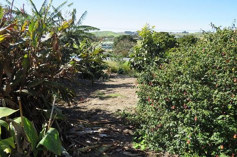 Photo of property in 600 Pahi Road, Pahi, Paparoa, 0571