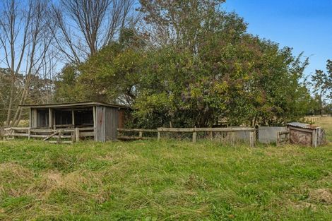 Photo of property in 137 Mccutchan Road, Otakiri, Whakatane, 3193