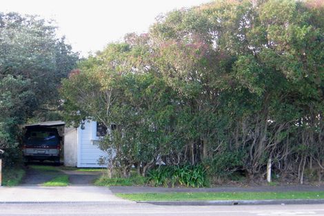 Photo of property in 33 Wood Street, Takaro, Palmerston North, 4410