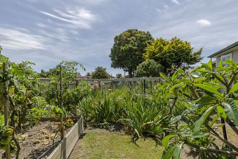 Photo of property in 11 Twentythird Avenue, Gate Pa, Tauranga, 3112