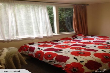 Photo of property in 203 North Road, North East Valley, Dunedin, 9010