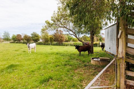 Photo of property in 279 Tararua Road, Levin, 5571