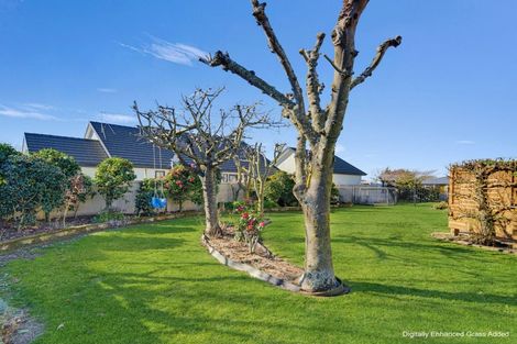 Photo of property in 22 Boyce Street, Renwick, 7204