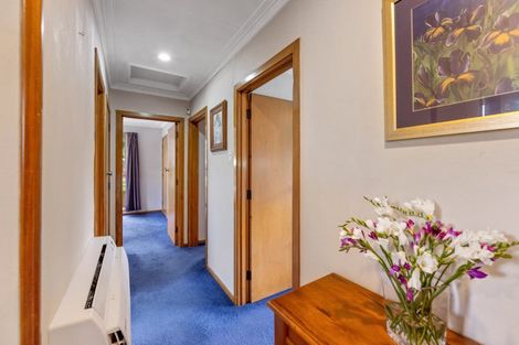 Photo of property in 402 South Road, Caversham, Dunedin, 9012