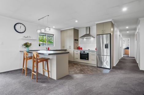 Photo of property in 21 Chamberlain Road, Masterton, 5888