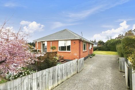 Photo of property in 11 Balmain Street, Halfway Bush, Dunedin, 9010