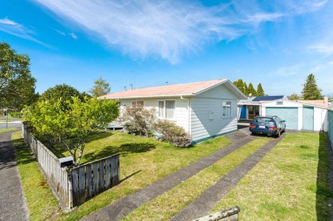 Photo of property in 20 Hingaia Street, Turangi, 3334