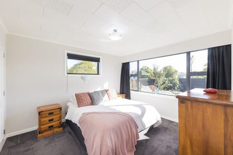 Photo of property in 38 Henare Street, West End, Palmerston North, 4412