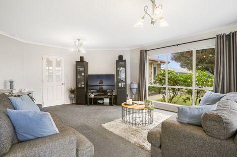 Photo of property in 113 Gloucester Road, Mount Maunganui, 3116