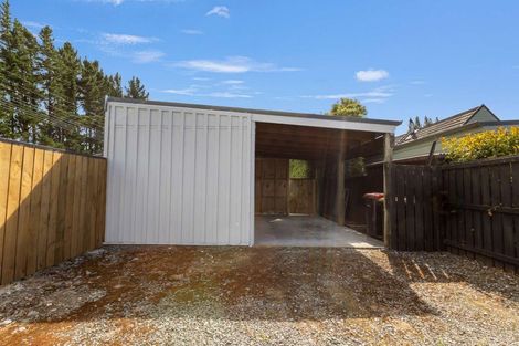 Photo of property in 64 Diana Street, Lumsden, 9730