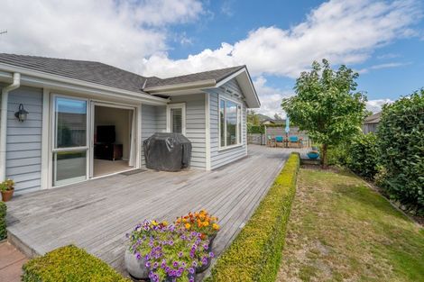 Photo of property in 9 Mako Street, Richmond, 7020