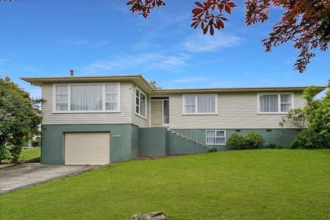 Photo of property in 9 Ries Street, Dannevirke, 4930