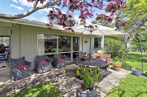 Photo of property in 49b Cornwall Street, Masterton, 5810