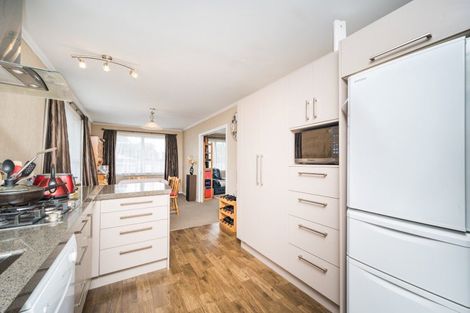 Photo of property in 476 Ruahine Street, Terrace End, Palmerston North, 4410