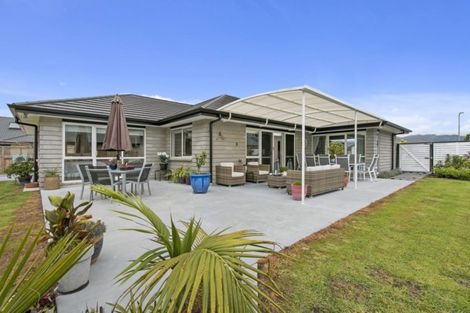 Photo of property in 12 Nolan Place, Katikati, 3129