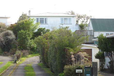Photo of property in 22a Nikau Street, Tawhero, Whanganui, 4501