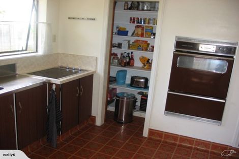 Photo of property in 47 Kings Crescent, Hutt Central, Lower Hutt, 5010