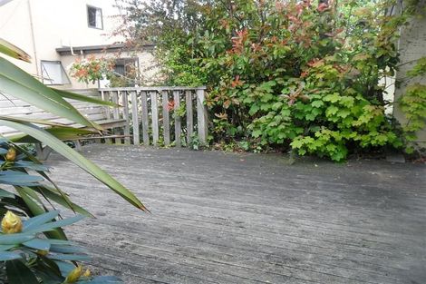 Photo of property in 50c Bank Street, North East Valley, Dunedin, 9010