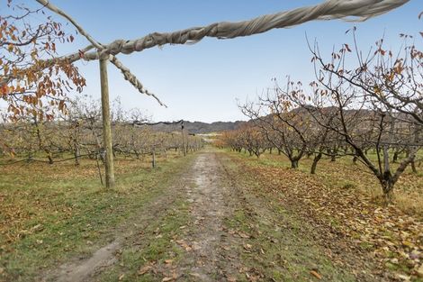 Photo of property in 108 Fraser Road, Earnscleugh, Alexandra, 9391