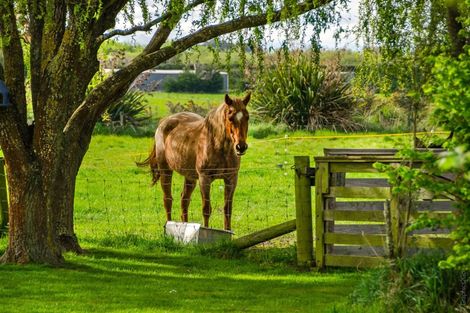 Photo of property in 81 Wolfes Road, Springston, Christchurch, 7674