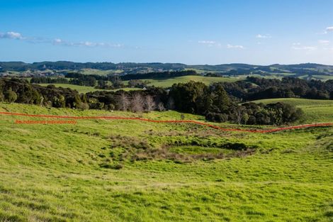 Photo of property in 485 Kiwitahi Road, Helensville, 0875