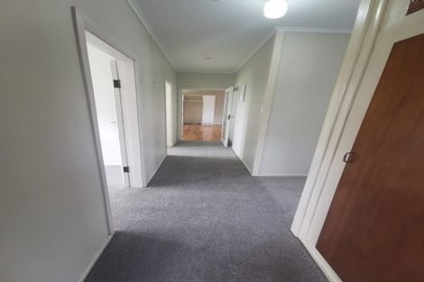 Photo of property in 22 Ferndale Road, Mount Wellington, Auckland, 1060