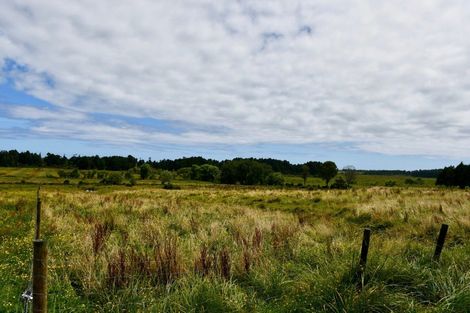 Photo of property in 216 Kongahu Swamp Road, Little Wanganui, Karamea, 7893