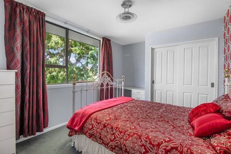 Photo of property in 26 Brandon Street, Alexandra, 9320