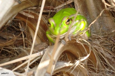 Photo of property in 119d Maraetai Drive, Maraetai, Auckland, 2018
