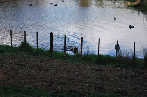 Photo of property in 113 Wayby Station Road, Wellsford, 0972