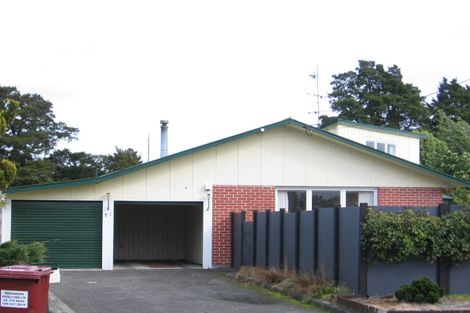 Photo of property in 51 Miro Street, Lansdowne, Masterton, 5810