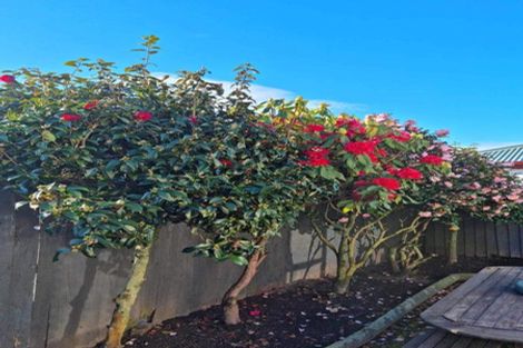 Photo of property in 73a Conway Street, Somerfield, Christchurch, 8024