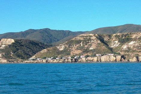 Photo of property in 1608 Cape Palliser Road, Cape Palliser, Pirinoa, 5772