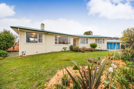 Photo of property in 49 Pitama Road, Awapuni, Palmerston North, 4412