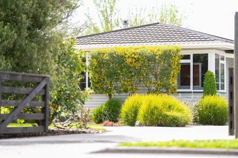 Photo of property in 45 Arnold Street, Leamington, Cambridge, 3432